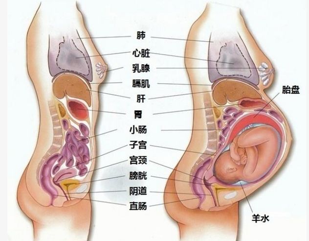 最新资讯 第66页
