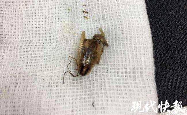 娱乐生活 第59页